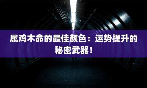 属鸡木命的最佳颜色：运势提升的秘密武器！