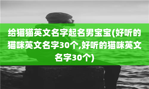 给猫猫英文名字起名男宝宝(好听的猫咪英文名字30个,好听的猫咪英文名字30个)