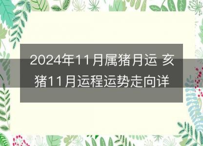 2024年11月属猪月运 亥猪11月运程运势走向详解