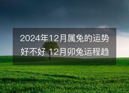 2024年12月属兔的运势好不好 12月卯兔运程趋势解说