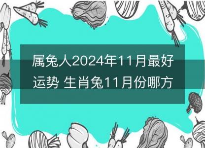 属兔人2024年11月最好运势 生肖兔11月份哪方面运气好