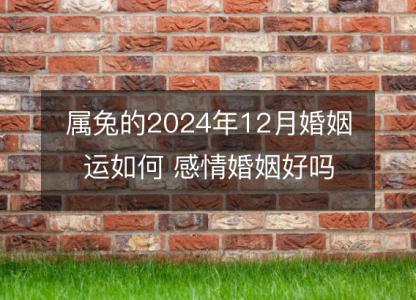 属兔的2024年12月婚姻运如何 感情婚姻好吗