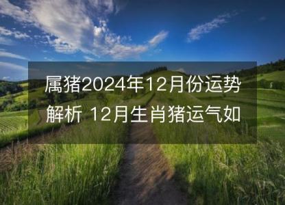 属猪2024年12月份运势解析 12月生肖猪运气如何