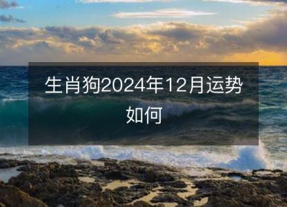 生肖狗2024年12月运势如何