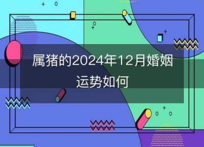 属猪的2024年12月婚姻运势如何