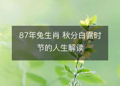 87年兔生肖 秋分白露时节的人生解读