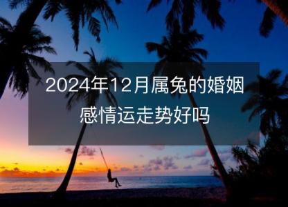 2024年12月属兔的婚姻感情运走势好吗