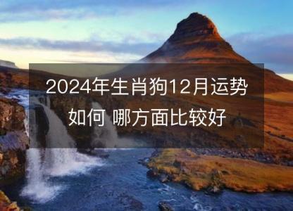 2024年生肖狗12月运势如何 哪方面比较好