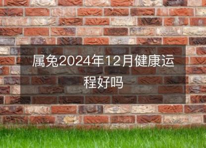 属兔2024年12月健康运程好吗