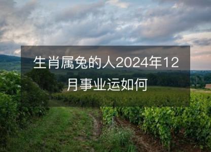 生肖属兔的人2024年12月事业运如何