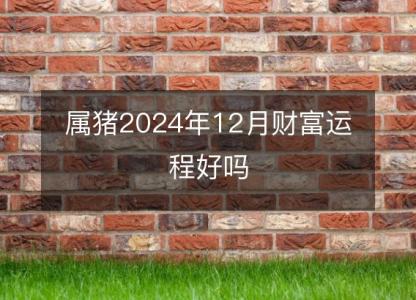 属猪2024年12月财富运程好吗