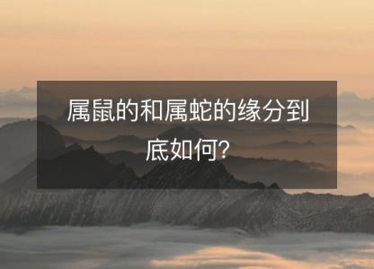 属鼠的和属蛇的缘分到底如何？