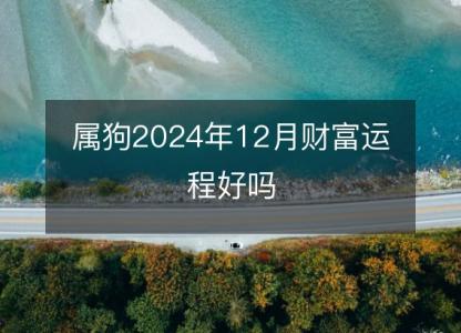 属狗2024年12月财富运程好吗