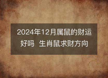 2024年12月属鼠的财运好吗  生肖鼠求财方向