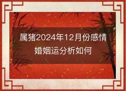 属猪2024年12月份感情婚姻运分析如何