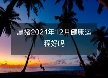 属猪2024年12月健康运程好吗