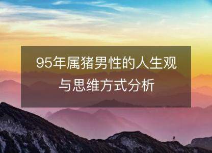 95年属猪男性的人生观与思维方式分析