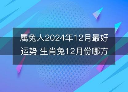 属兔人2024年12月最好运势 生肖兔12月份哪方面运气好