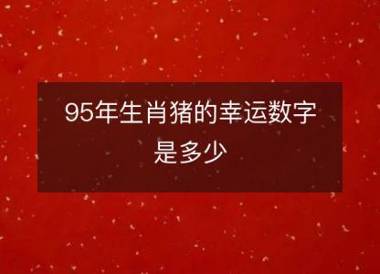 95年生肖猪的幸运数字是多少