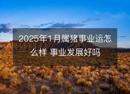 2025年1月属猪事业运怎么样 事业发展好吗