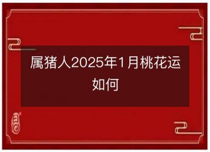 属猪人2025年1月桃花运如何