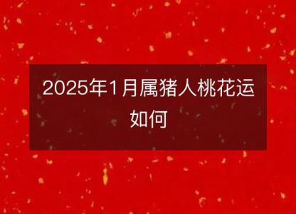 2025年1月属猪人桃花运如何