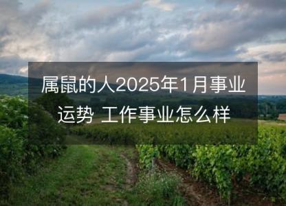 属鼠的人2025年1月事业运势 工作事业怎么样