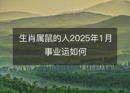 生肖属鼠的人2025年1月事业运如何