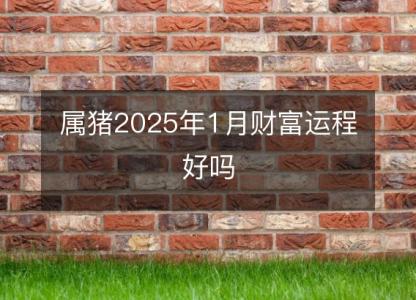 属猪2025年1月财富运程好吗