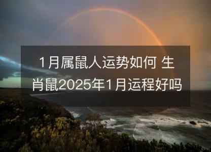 1月属鼠人运势如何 生肖鼠2025年1月运程好吗