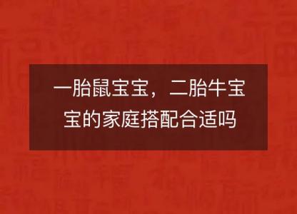 一胎鼠宝宝，二胎牛宝宝的家庭搭配合适吗