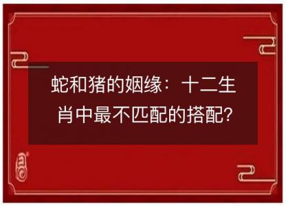 蛇和猪的姻缘：十二生肖中最不匹配的搭配？