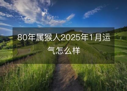 80年属猴人2025年1月运气怎么样