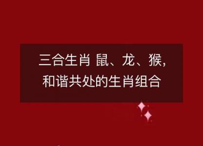 三合生肖 鼠、龙、猴，和谐共处的生肖组合