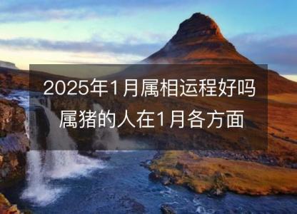 2025年1月属相运程好吗 属猪的人在1月各方面运势好吗