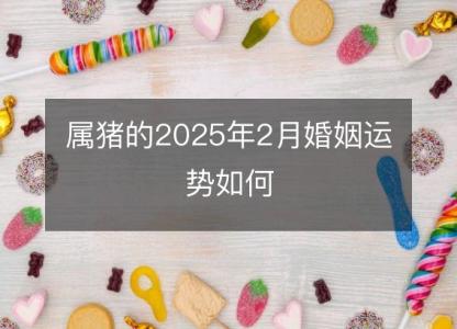 属猪的2025年2月婚姻运势如何