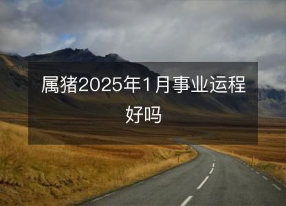 属猪2025年1月事业运程好吗