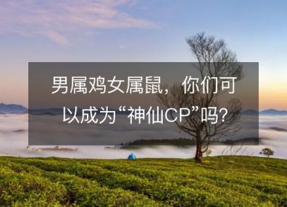 男属鸡女属鼠，你们可以成为“神仙CP”吗？