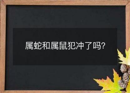 属蛇和属鼠犯冲了吗？