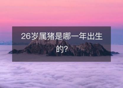 26岁属猪是哪一年出生的？