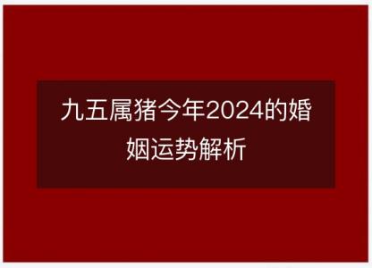 九五属猪今年2024的婚姻运势解析