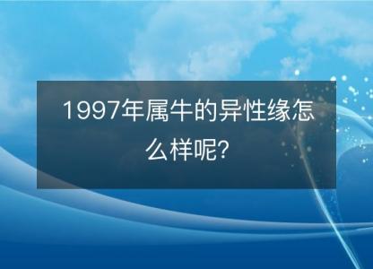 1997年属牛的异性缘怎么样呢？