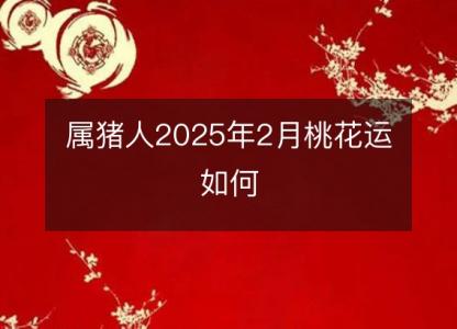 属猪人2025年2月桃花运如何