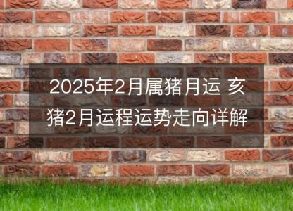 2025年2月属猪月运 亥猪2月运程运势走向详解