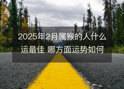 2025年2月属猴的人什么运最佳 哪方面运势如何