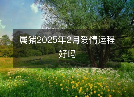 属猪2025年2月爱情运程好吗