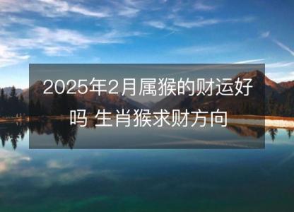 2025年2月属猴的财运好吗 生肖猴求财方向