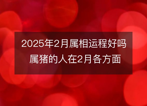 2025年2月属相运程好吗 属猪的人在2月各方面运势好吗