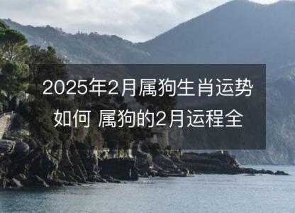 2025年2月属狗生肖运势如何 属狗的2月运程全面分解