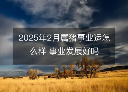 2025年2月属猪事业运怎么样 事业发展好吗